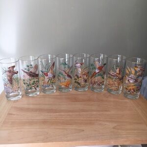 RARE! Vintage (Set of 8) Wild Fowl Glasses